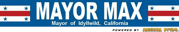 Mayor Max of Idyllwild, California | Official Merchandise