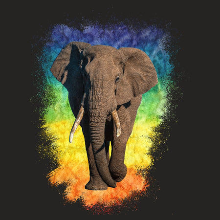 Elephant Rainbow - Adult Tri-Blend T-Shirt