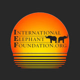 IEF Sunset Logo - Adult Adjustable Face Mask
