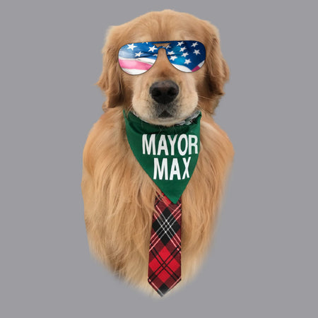 Sunglasses Mayor Max - Adult Unisex Crewneck Sweatshirt