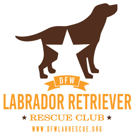 DFW Lab Rescue Logo - Adult Unisex Hoodie Sweatshirt