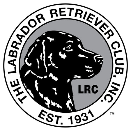 LRC Logo - Left Chest Black & White - Adult Unisex Hoodie Sweatshirt