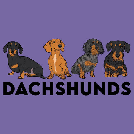 Dachshunds - Women's Tri-Blend T-Shirt