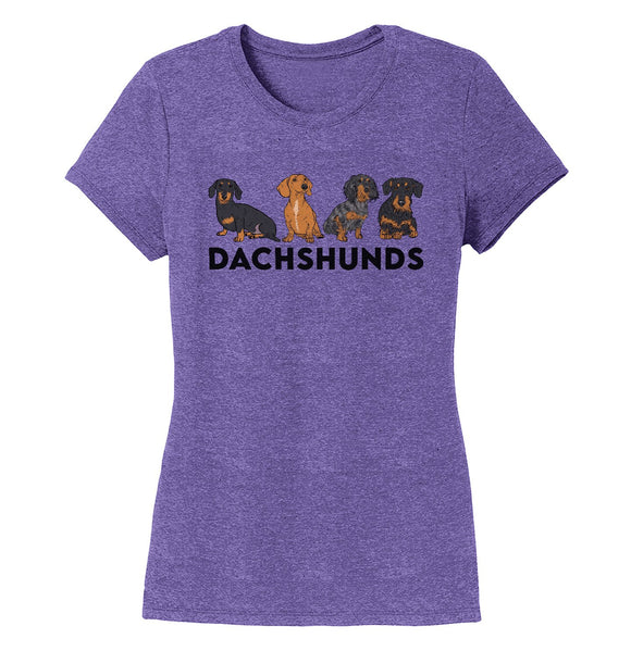 Dachshunds - Women's Tri-Blend T-Shirt