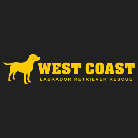 Gold WCLRR Logo - Women's V-Neck Long Sleeve T-Shirt