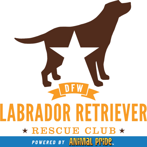 DFW Lab Rescue Club Online Store