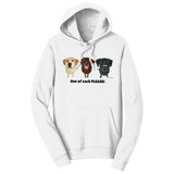 One of Each Labrador Please - Adult Unisex Hoodie Sweatshirt