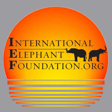 IEF Sunset Logo - Kids' Unisex Hoodie Sweatshirt