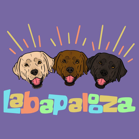 Labapalooza - Women's Tri-Blend T-Shirt