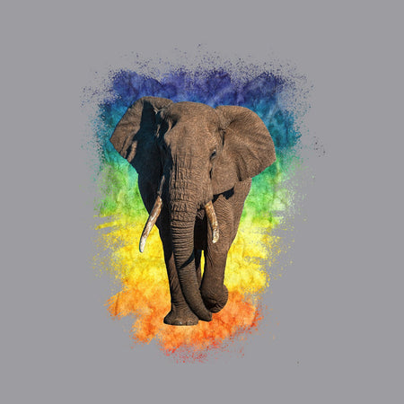 Elephant Rainbow - Adult Adjustable Face Mask