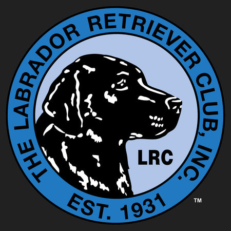 LRC Logo - Left Chest Blue - Adult Unisex Hoodie Sweatshirt