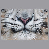 White Tiger Face - Adult Adjustable Face Mask