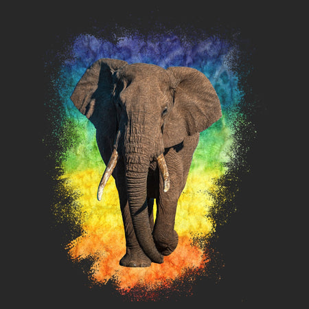 Elephant Rainbow - Adult Unisex Crewneck Sweatshirt