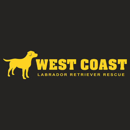 Gold WCLRR Logo - Women's Tri-Blend T-Shirt