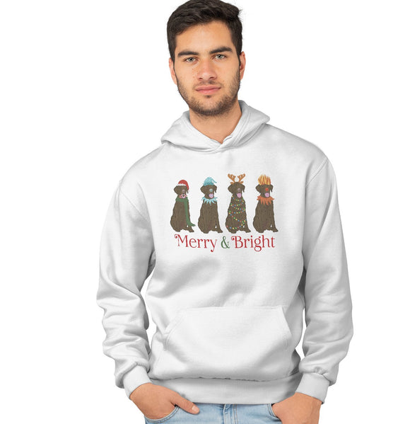  - Chocolate Lab Christmas Line Up - Adult Unisex Hoodie Sweatshirt