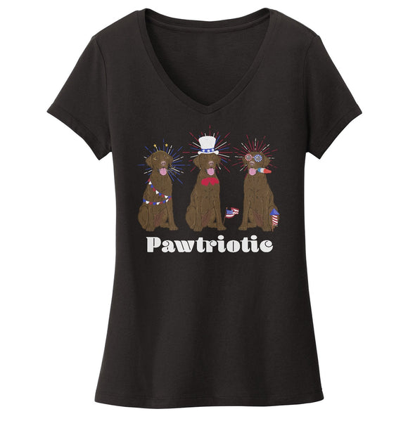 4th of July Lineup Chocolate Lab - Women's V-Neck T-Shirt
