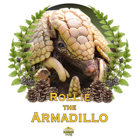 Rollie the Armadillo - Women's V-Neck Long Sleeve T-Shirt