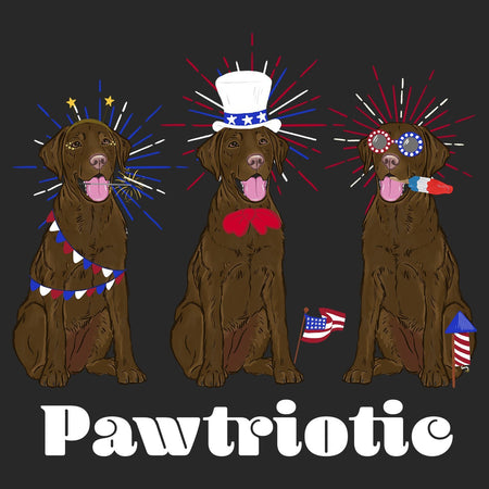 4th of July Lineup Chocolate Lab - Women's V-Neck T-Shirt