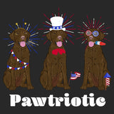 4th of July Lineup Chocolate Lab - Adult Tri-Blend T-Shirt