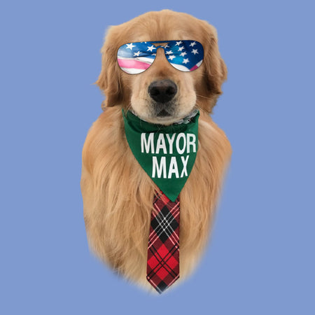 Sunglasses Mayor Max - Adult Tri-Blend T-Shirt