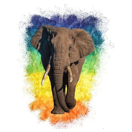 Elephant Rainbow - Adult Unisex Hoodie Sweatshirt