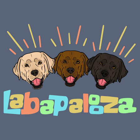 Labapalooza - Adult Tri-Blend T-Shirt
