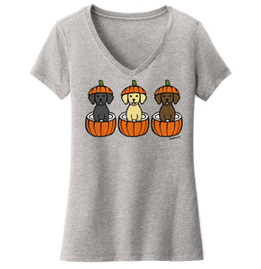 3 Pumpkin Lab Pups - Women's V-Neck T-Shirt