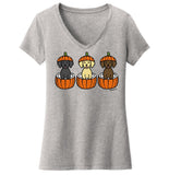 3 Pumpkin Lab Pups - Women's V-Neck T-Shirt