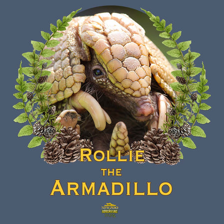 Rollie the Armadillo - Women's Tri-Blend T-Shirt