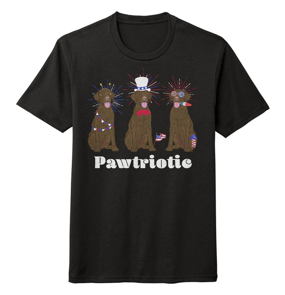 4th of July Lineup Chocolate Lab - Adult Tri-Blend T-Shirt