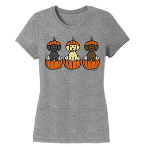 3 Pumpkin Lab Pups - Women's Tri-Blend T-Shirt