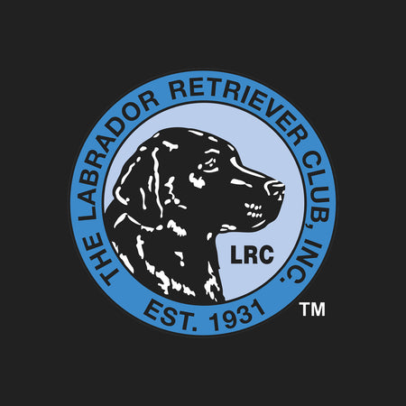 LRC Logo - Left Chest Blue - Women's V-Neck T-Shirt