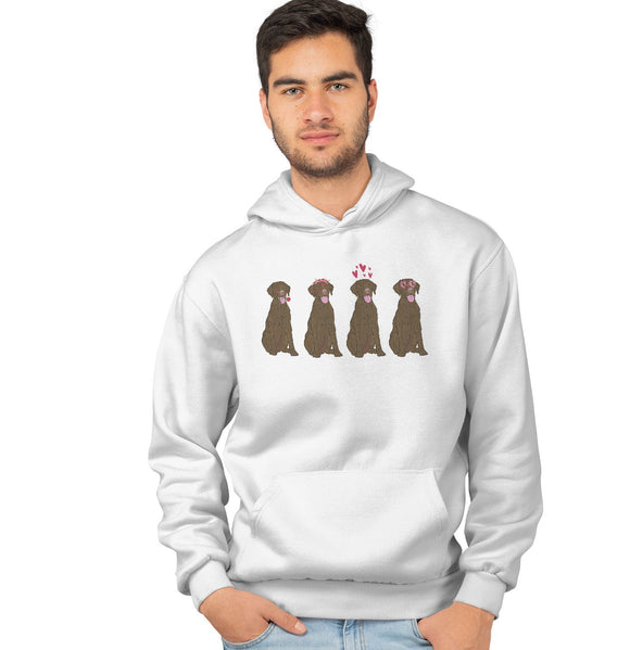 .com - Chocolate Lab Love Line Up - Adult Unisex Hoodie Sweatshirt