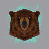Brown Bear Blue Illustration - Adult Adjustable Face Mask