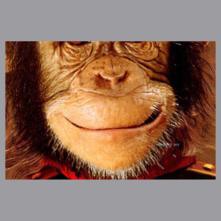 Chimp Face - Adult Adjustable Face Mask