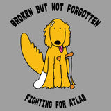 Fighting For Atlas - Adult Tri-Blend T-Shirt