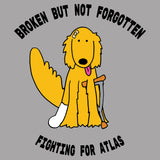 Fighting For Atlas - Women's V-Neck Long Sleeve T-Shirt