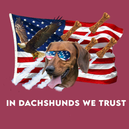 In Dachshunds We Trust - Adult Unisex Hoodie Sweatshirt