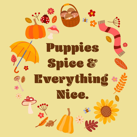 Puppies Spice Everything Nice Fall Wreath - Adult Unisex T-Shirt