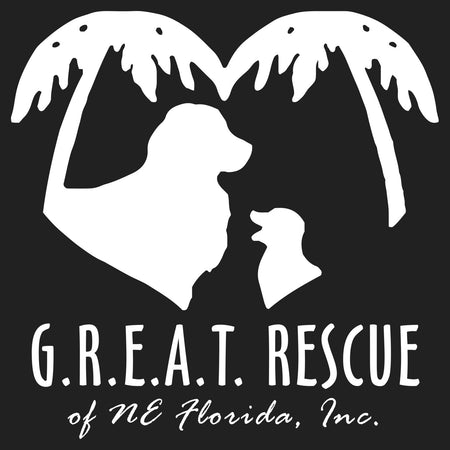 G.R.E.A.T. Rescue Logo - Women's V-Neck Long Sleeve T-Shirt