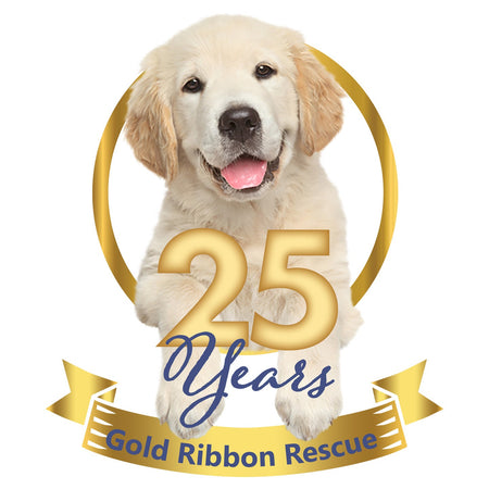 Gold Ribbon 25 Years Puppy - Women's V-Neck T-Shirt