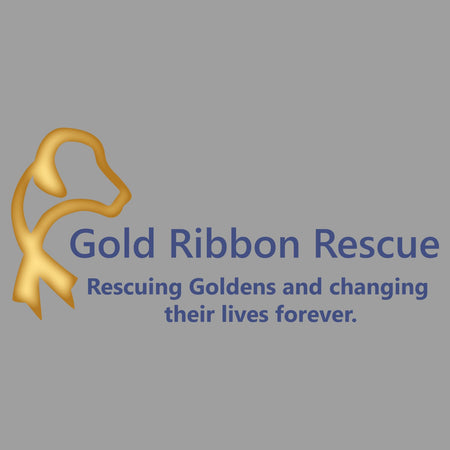 Gold Ribbon Logo - Adult Tri-Blend T-Shirt