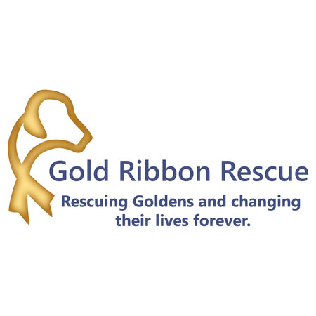 Gold Ribbon Logo - Women's V-Neck T-Shirt