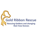 Gold Ribbon Logo - Women's V-Neck T-Shirt