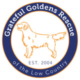 Grateful Golden Rescue Outline Logo - Women's V-Neck T-Shirt