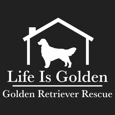 Life is Golden Logo - Women's V-Neck Long Sleeve T-Shirt