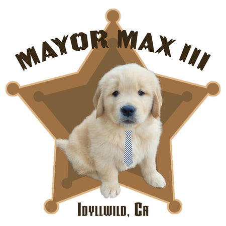 Mayor Max III Badge - Women's V-Neck Long Sleeve T-Shirt