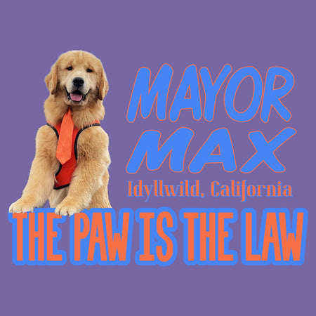 Mayor Max The Paw is the Law - Women's Tri-Blend T-Shirt