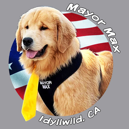 Mayor Max USA Flag Circle - Adult Unisex Long Sleeve T-Shirt
