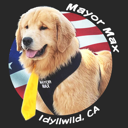 Mayor Max USA Flag Circle - Adult Unisex Crewneck Sweatshirt